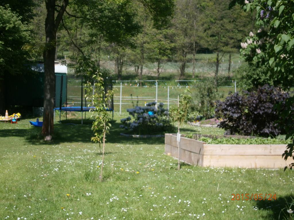 Pension Sander Bispingen Esterno foto