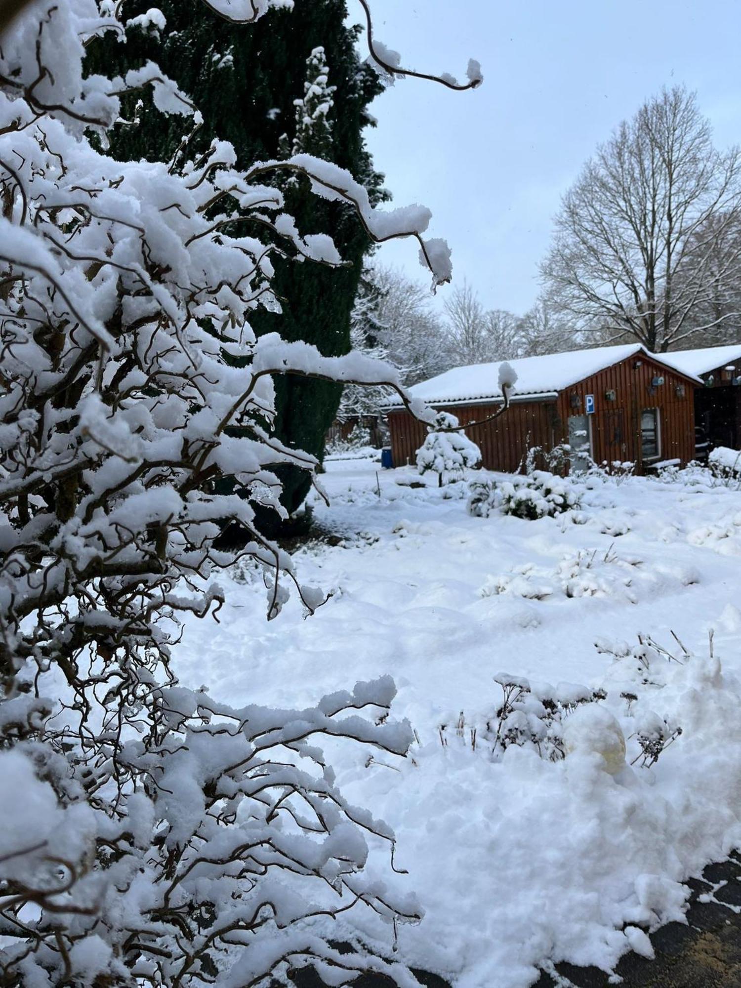Pension Sander Bispingen Esterno foto