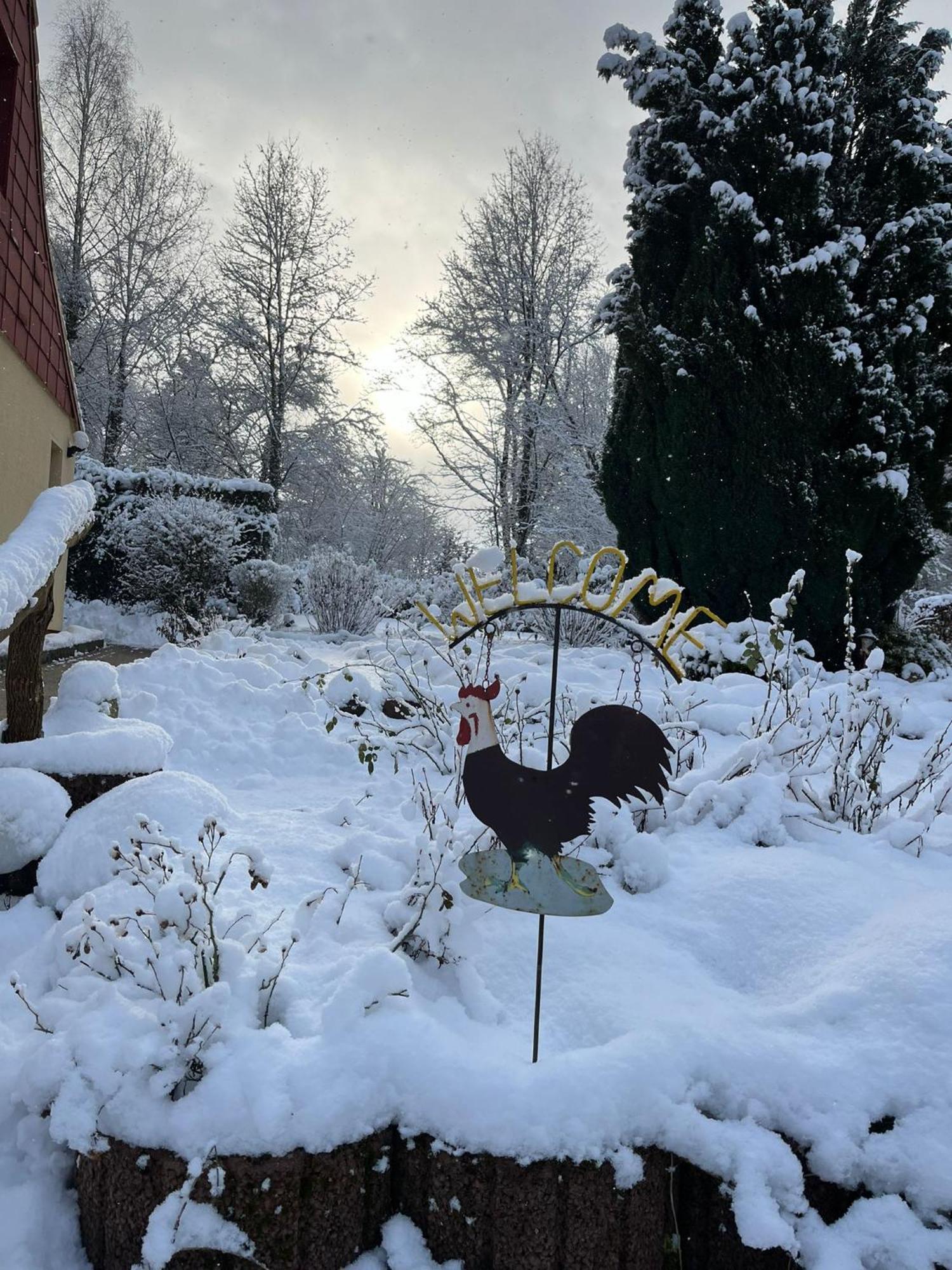 Pension Sander Bispingen Esterno foto